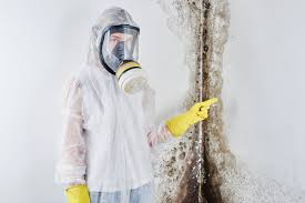 Biohazard Mold Removal in Richmond Heights, OH